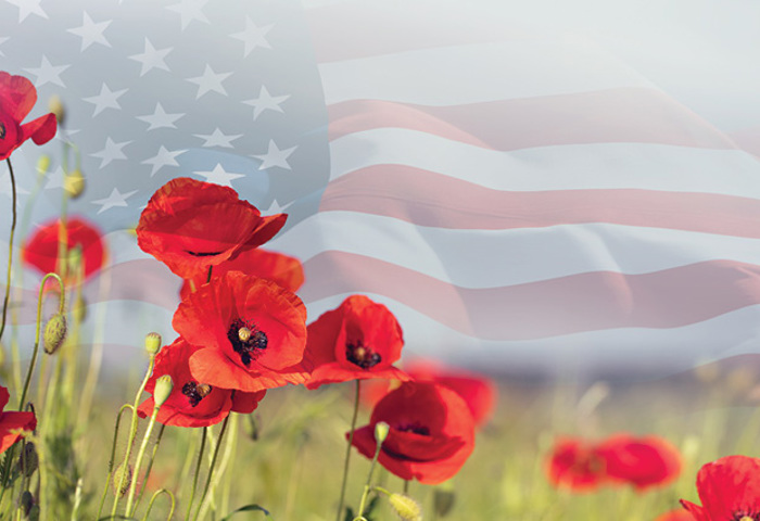 Red poppies blooming in a green field with a softly blended American flag overlay in the background.